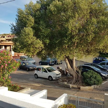 B&B Unique Art Santa Teresa Gallura Dış mekan fotoğraf