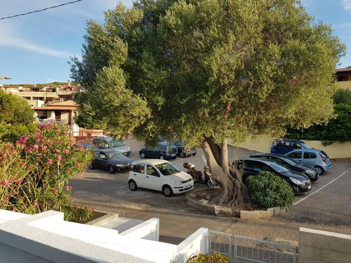 B&B Unique Art Santa Teresa Gallura Dış mekan fotoğraf