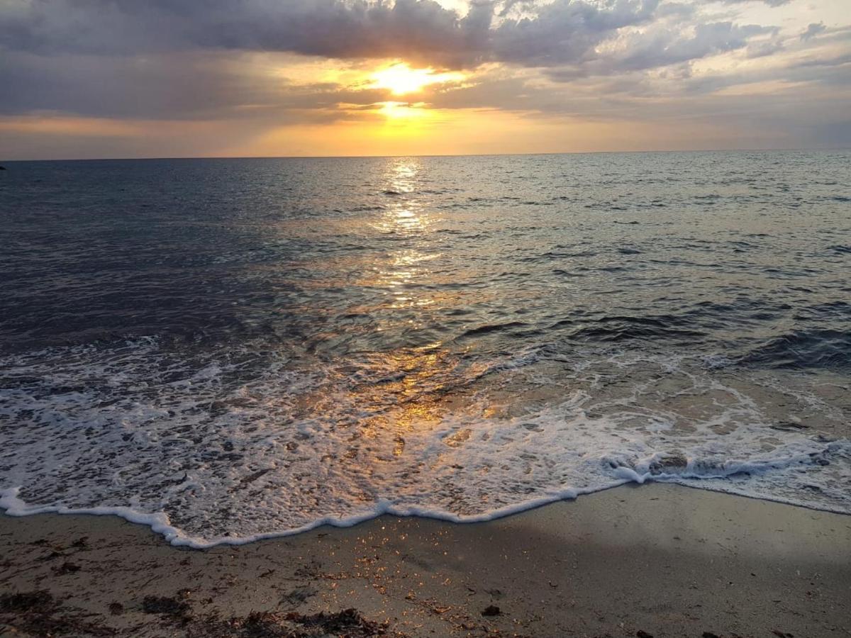 B&B Unique Art Santa Teresa Gallura Dış mekan fotoğraf